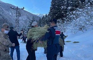 HAYDİ Timleri, yaban hayvanları için doğaya yem...