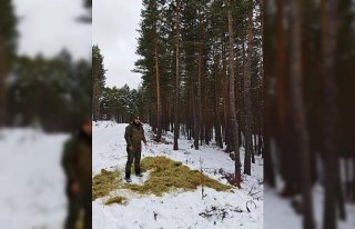 Kargı'da yaban hayvanları için doğaya yem ve ot...