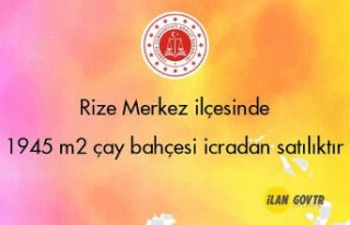 Rize Merkez ilçesinde 1945m² çay bahçesi icradan...