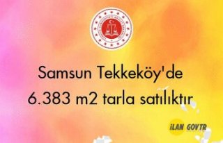 Samsun Tekkeköy'de 6.383 m² tarla mahkemeden...