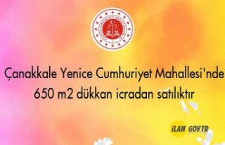 Çanakkale Yenice Cumhuriyet Mahallesi'nde 650...