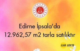 Edirne İpsala'da 12.962,57 m² tarla mahkemeden...