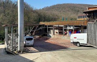 GÜNCELLEME - Samsun'da et entegre tesisindeki bıçaklı...