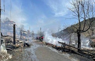 Kastamonu'da 7 ev ile 7 ahır yandı