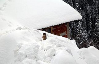 Kastamonu'da bazı köylerde kar kalınlığı 2 metreyi...