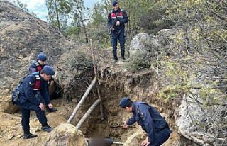 Kastamonu'da kaçak kazı yapan 6 zanlı yakalandı