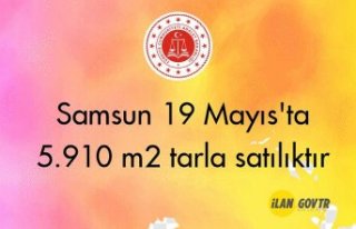 Samsun 19 Mayıs'ta 5.910 m2 tarla mahkemeden...