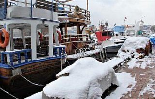 Samsun, Sinop ve Kastamonu'da kar yağışı etkili...