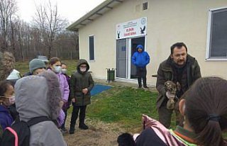 Sinop'ta öğrenciler yaban hayvanlarını tedavi...