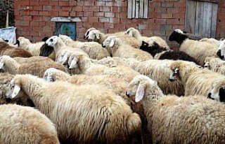 Valilik projesiyle 20 yıl sonra yeniden 