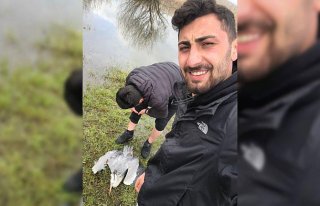 Bolu'da dikenli tellere takılarak yaralanan leylek...