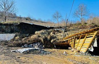 Ordu'da meydana gelen heyelanda üç evle bir caminin...