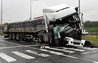 Ordu'da tır şoförü trafik kazasında yaralandı