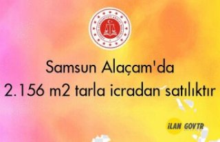 Samsun Alaçam'da 2.156 m² tarla icradan satılıktır