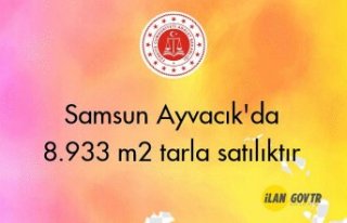Samsun Ayvacık'da 8.933 m² tarla icradan satılıktır