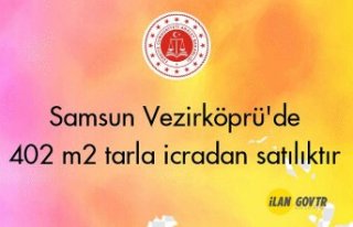Samsun Vezirköprü'de 402 m² tarla icradan...