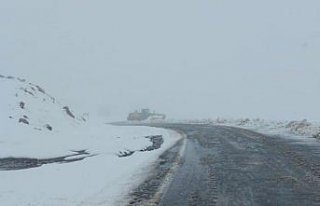 Artvin'in yüksek kesimlerinde kar etkili oldu