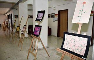 Karabük'te ebru sergisi açıldı