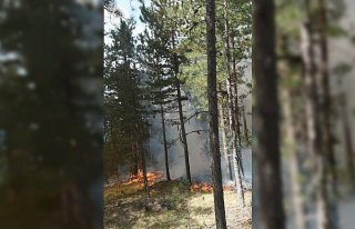 Kastamonu'da çıkan orman yangını söndürüldü