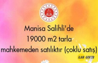 Manisa Salihli'de 19000 m2 tarla mahkemeden satılıktır...