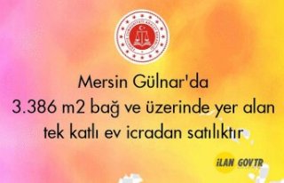 Mersin Gülnar'da 3.386 m² bağ ve üzerinde...