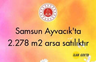 Samsun Ayvacık'ta 2.278 m² arsa mahkemeden...