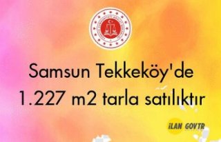 Samsun Tekkeköy'de 1.227 m² tarla icradan satılıktır