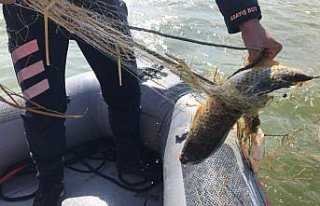 Samsun'da av için göle bırakılan 500 metre...