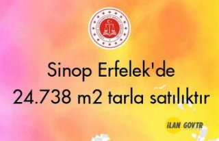 Sinop Erfelek'de 24.738 m² tarla mahkemeden...