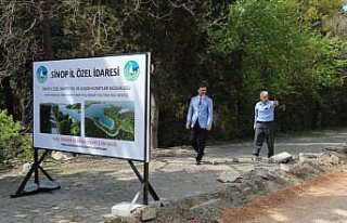 Sinop'ta denizle ormanın birleştiği tabiat parkı...