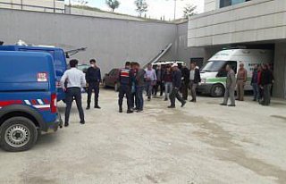 Sinop'ta üzerine ağaç devrilen orman işçisi öldü