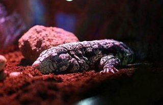 Trabzon'da tarihi vadilerin arasındaki 