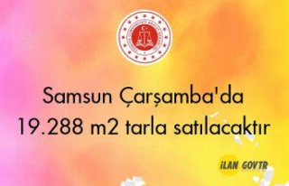 Samsun Çarşamba'da 19.288 m² tarla mahkemeden...
