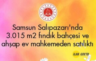 Samsun Salıpazarı'nda 3.015 m² fındık bahçesi...