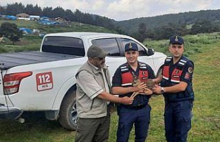 Amasya'da bitkin halde bulunan karaca yavrusu beslenip...
