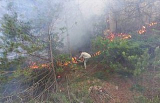 Bolu'daki orman yangınında bir hektarlık alan zarar...