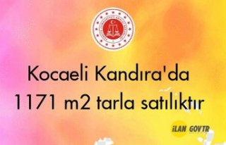Kocaeli Kandıra'da 1171 m² tarla mahkemeden...