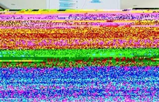 Milli boksör Busenaz Sürmeneli, Bayburt Üniversitesi'ni...