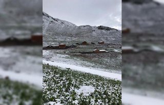 Rize'de 3 bin 200 rakımlı yaylaya kar yağdı