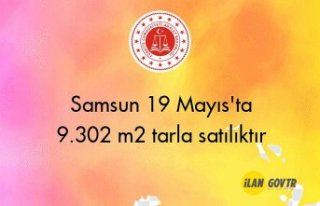 Samsun 19 Mayıs'ta 9.302 m² tarla mahkemeden...