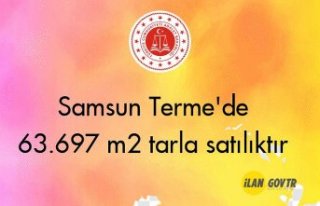 Samsun Terme'de 63.697 m² tarla mahkemeden satılıktır
