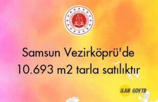 Samsun Vezirköprü'de 10.693 m² tarla mahkemeden...