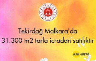 Tekirdağ Malkara'da 31.300 m² tarla icradan...