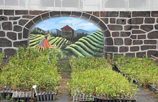 Türk çayının geleceğini koruyacak 