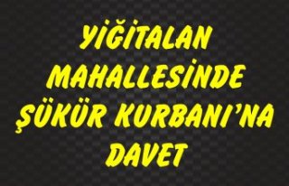 YİĞİTALAN MAHALLESİNDE ŞÜKÜR KURBANI'NA...