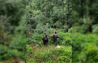 Artvin'de çay toplarken kaybolan kişi bulundu