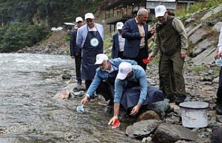 Fırtına Deresi'ne 50 bin kırmızı benekli alabalık...