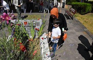 Ordu'da Kurban Bayramı arifesinde şehitlik ziyaret...