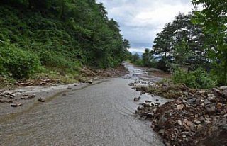 Ordu'da şiddetli yağışın yol açtığı...