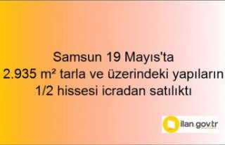 Samsun 19 Mayıs'ta 2.935 m² tarla ve üzerindeki...